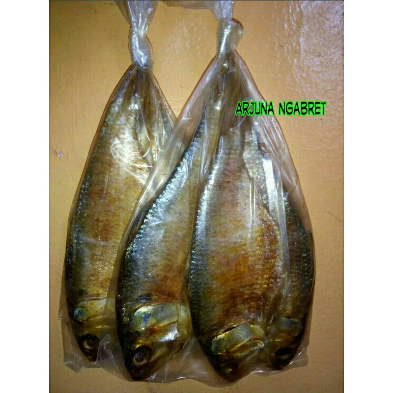 

termurah ikan asin 10 bungkus