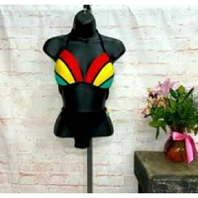 Bikini BH Rainbow Atasan saja