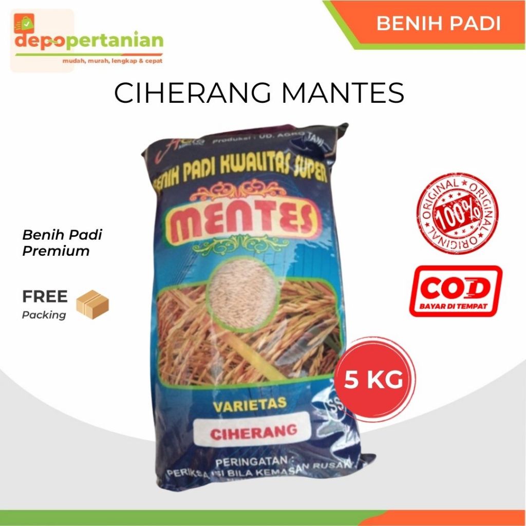 Depo Pertanian - Benih Padi Ciherang Mentes 5 kg Bibit Padi Premium