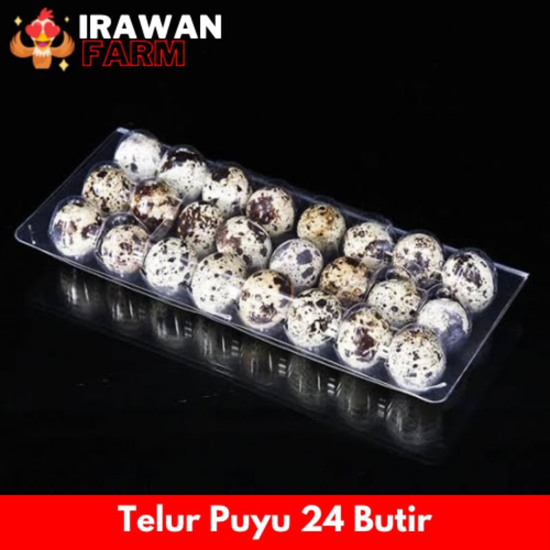 

TELUR PUYUH ISI 24 BUTIR