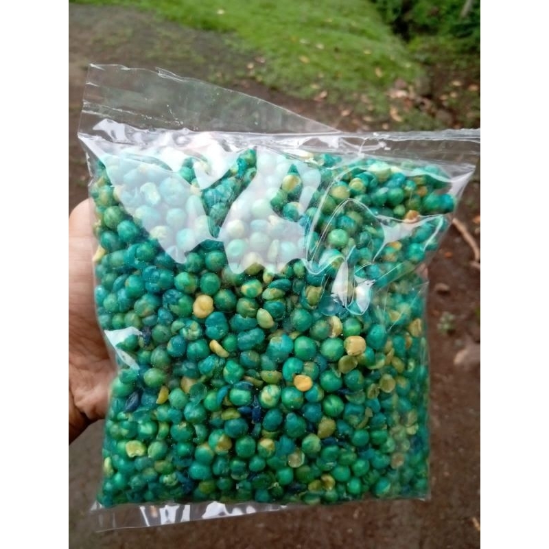 

KACANG KAPRI POLONG IJO