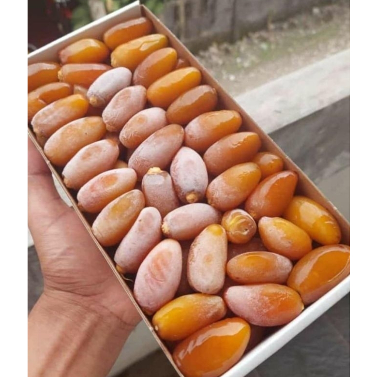 

Kurma Ruthob Libya 1kg || Fresh Frozen Promil Premium