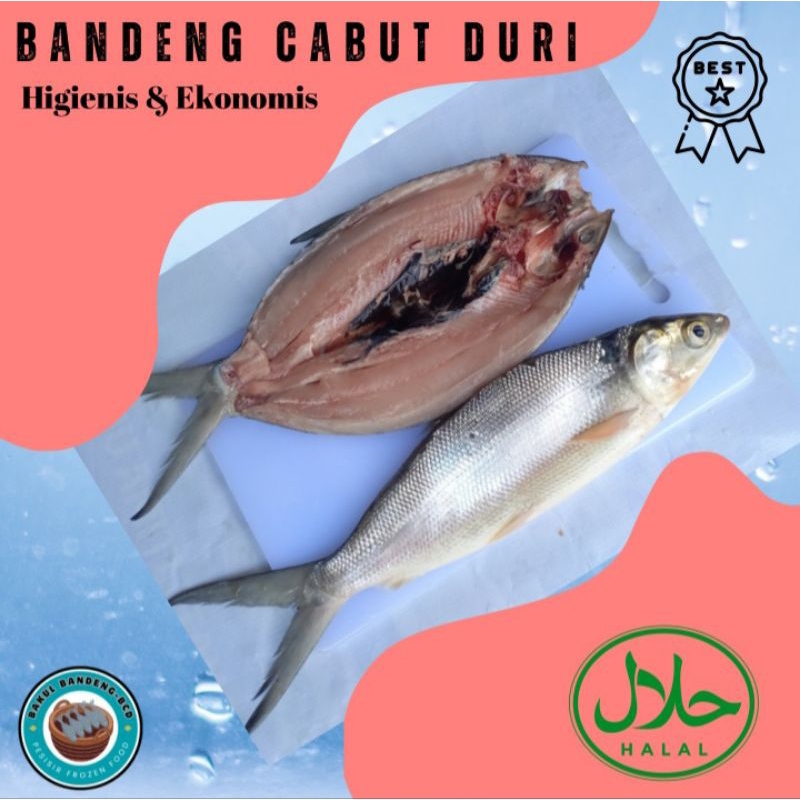 

TERMURAH !!! BANDENG CABUT DURI / TANPA DURI / FRESH