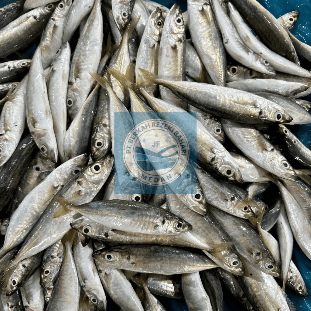 

Ikan Dencis Segar per kg