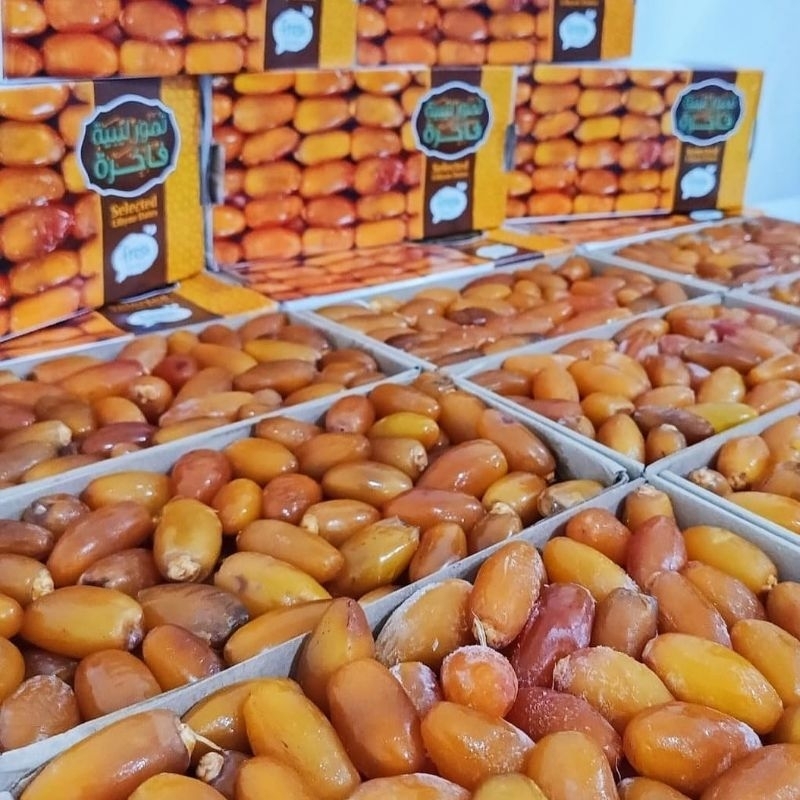 

KURMA Ruthob Libya 1KG Fresh Kurma Muda