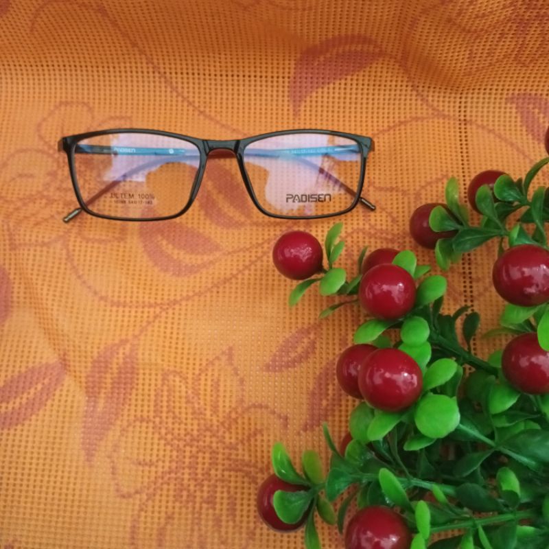 Padisen 17069 54-17-142