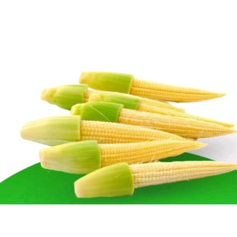 

jagung bebi atu kecil moda. segar per 500gr