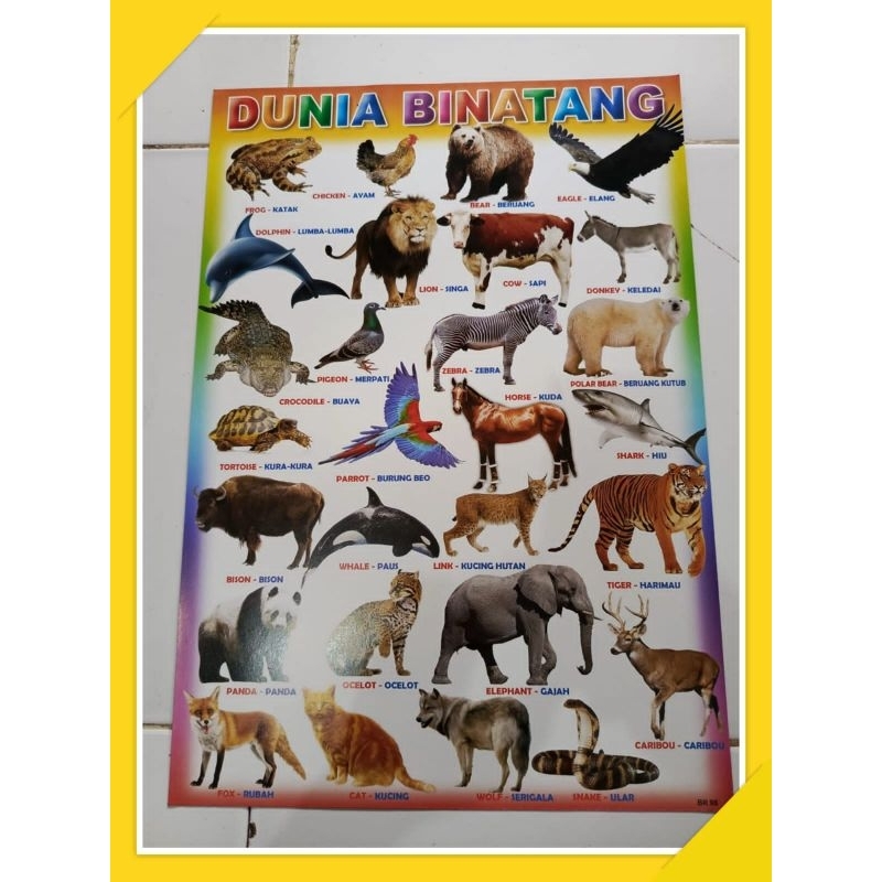Poster Dunia Binatang
