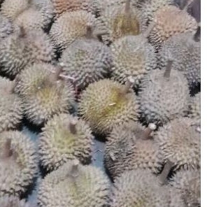 

paket hemat 350 ribu dapat 8