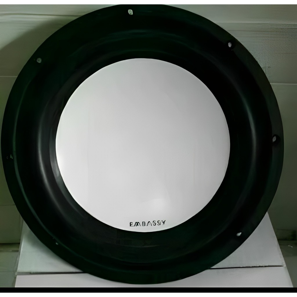 SUBWOOFER 10 Inch 350 Watt EMBASSY ES-1028