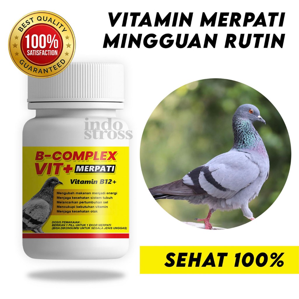 ORIGINA Vitamin Merpati B COMPLEX VIT+ Balap Kolong Tinggi Pos Tomprang Hias dll - Hewan Tanam