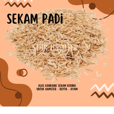 Sekam Padi - Sekam Padi Kering - Alas Kandang Sekam Padi