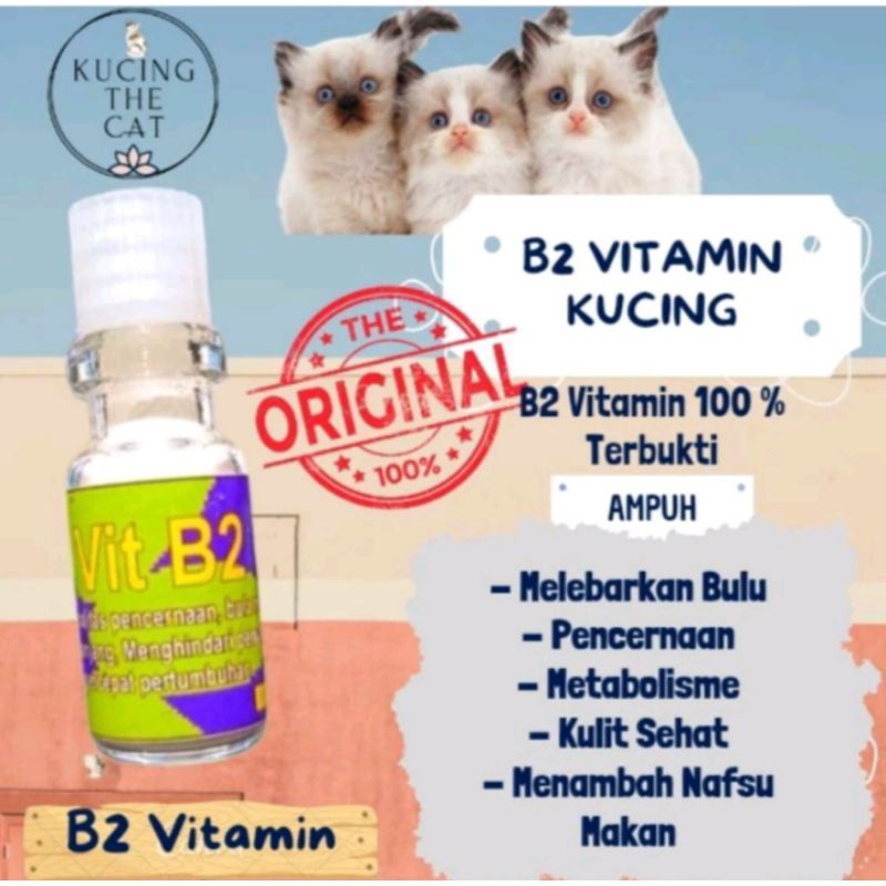 vitamin bulu kucing b2, mempercantik bulu kucing ampuh