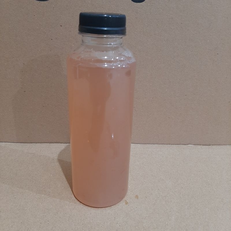 Biang psb biang bakteri potosyntesis biang pupuk psb stater psb starter bakteri psb strater pupuk ps