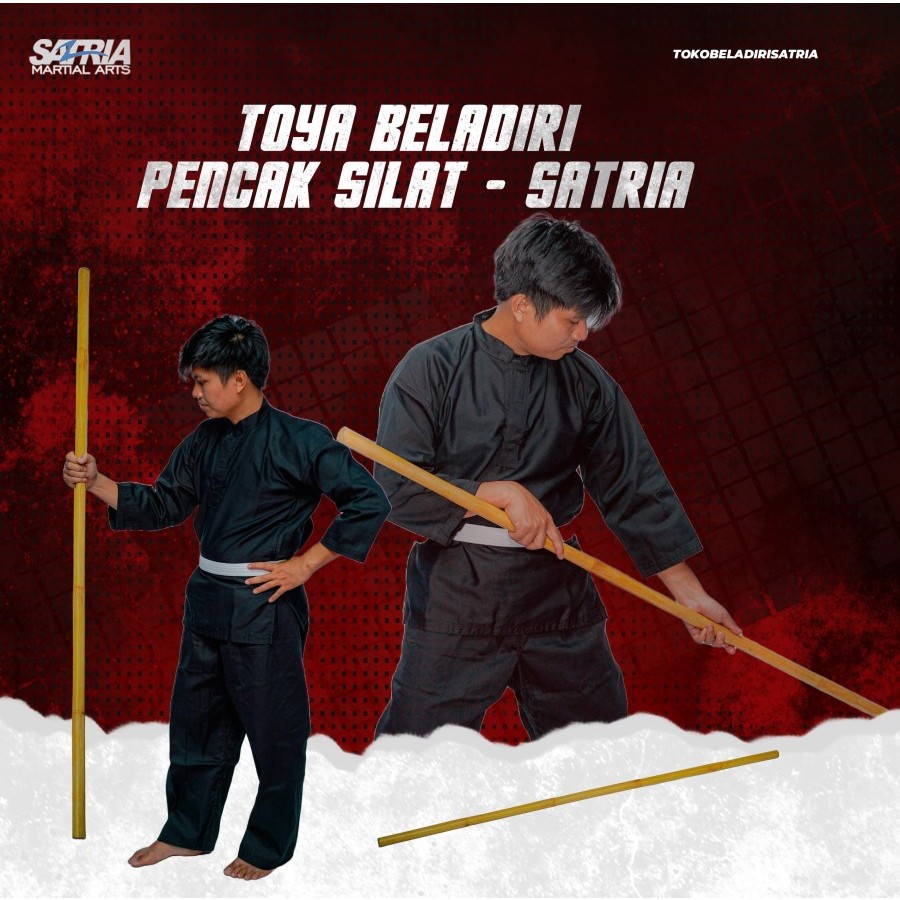 Toya Rotan Silat Wushu