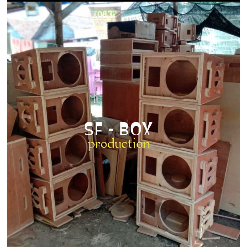 Box mid line array 10 in single Costum