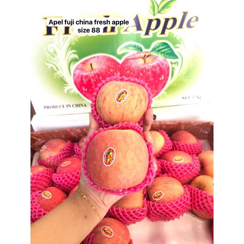 

Apel Fuji China Fresh Apple size 88 /kg
