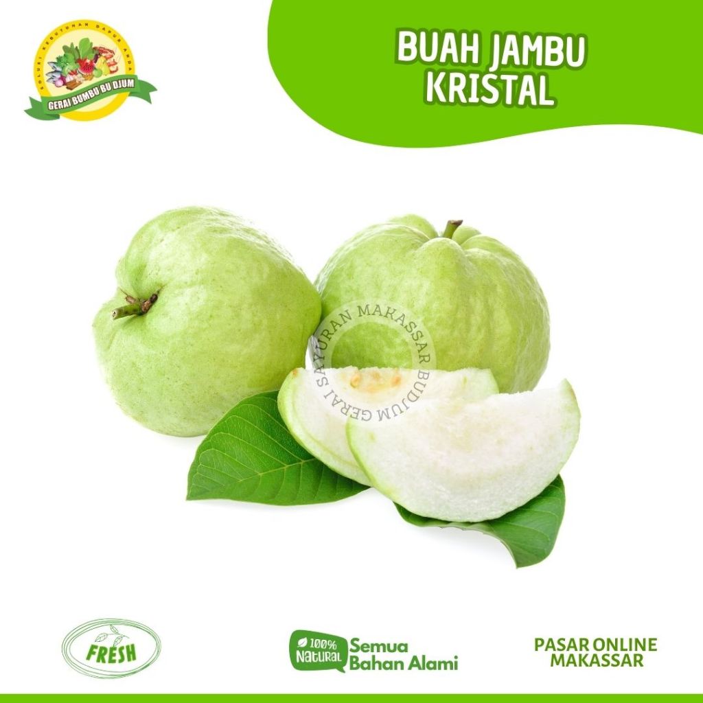 

Buah Buahan JAMBU KRISTAL PUTIH PER KG FRESH Sayuan dan Buah Buahan Online Makassar