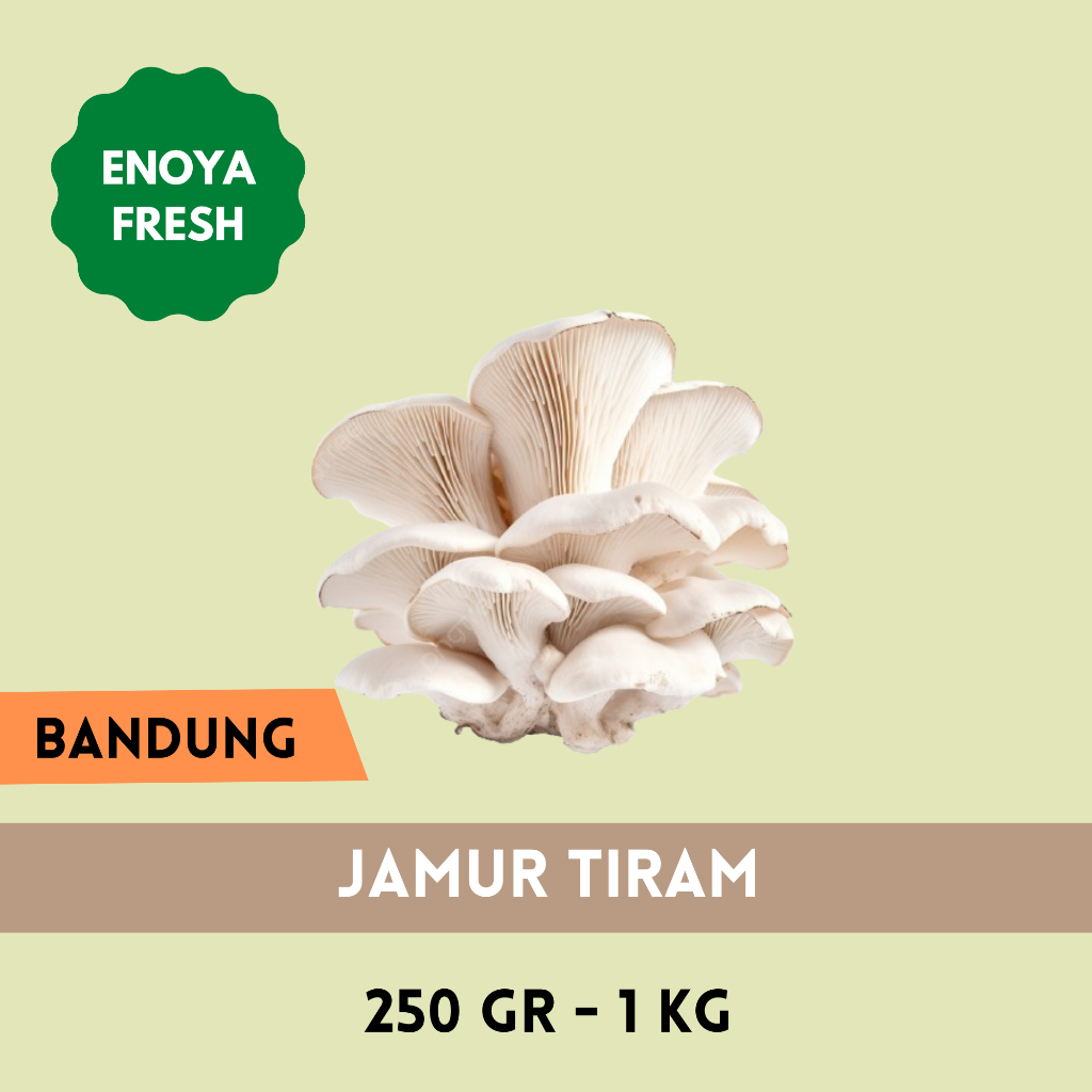 

Jamur Tiram 250 gr - 1 kg Bandung