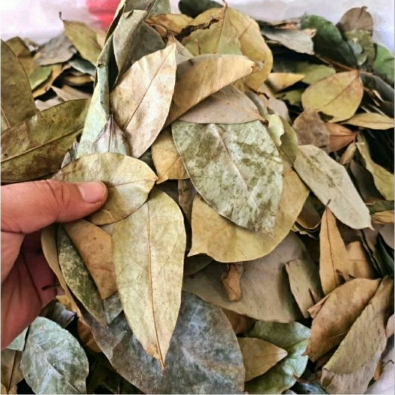 

Daun Sirsak Kering Murah 200gr