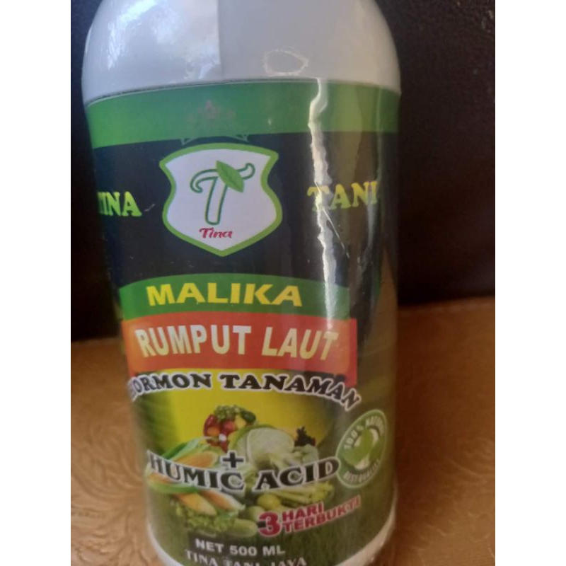 Malika daun untuk penyubur daun bawang merah