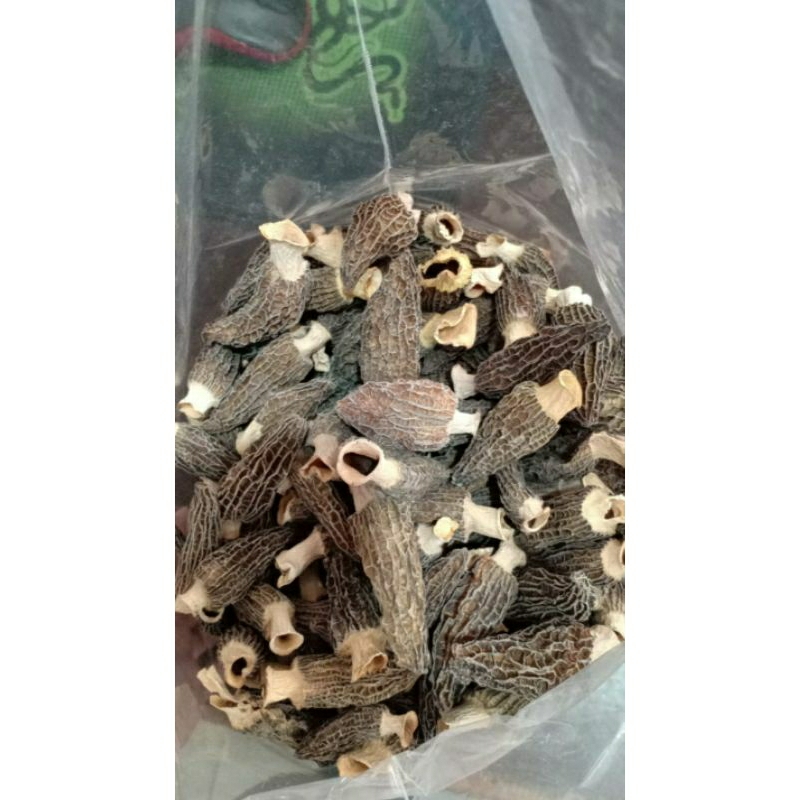 

Jamur morel kering / yang du jun 羊肚菌 / dried morel mushroom