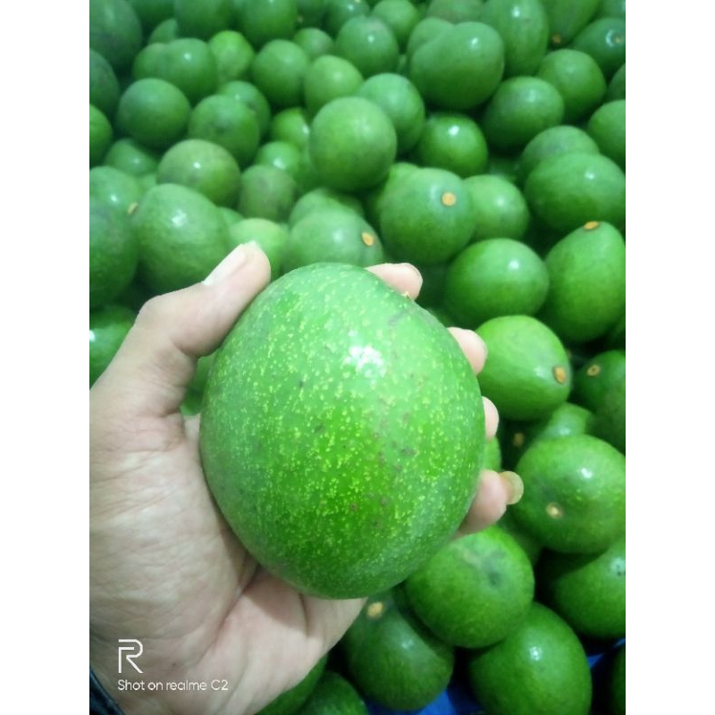 

alpukat 1kg isi 4/6