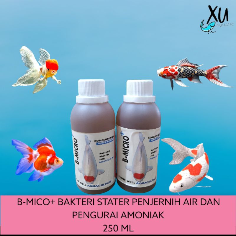 BMICRO+ 250ML PROBIOTIK KOI BACTERI STATER KOLAM KOI