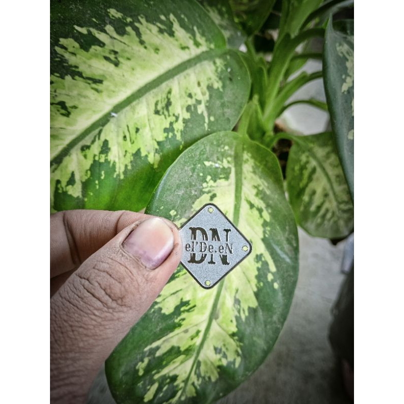 

logo PLAT LABEL EMBLEM,Custom sesuai pesanan