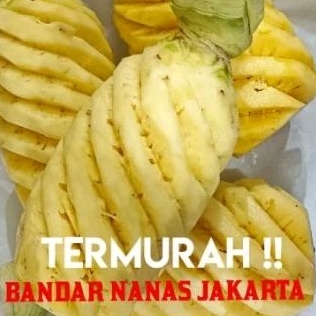 

Grosir Buah Segar Nanas palembang asli per buah sudah parut