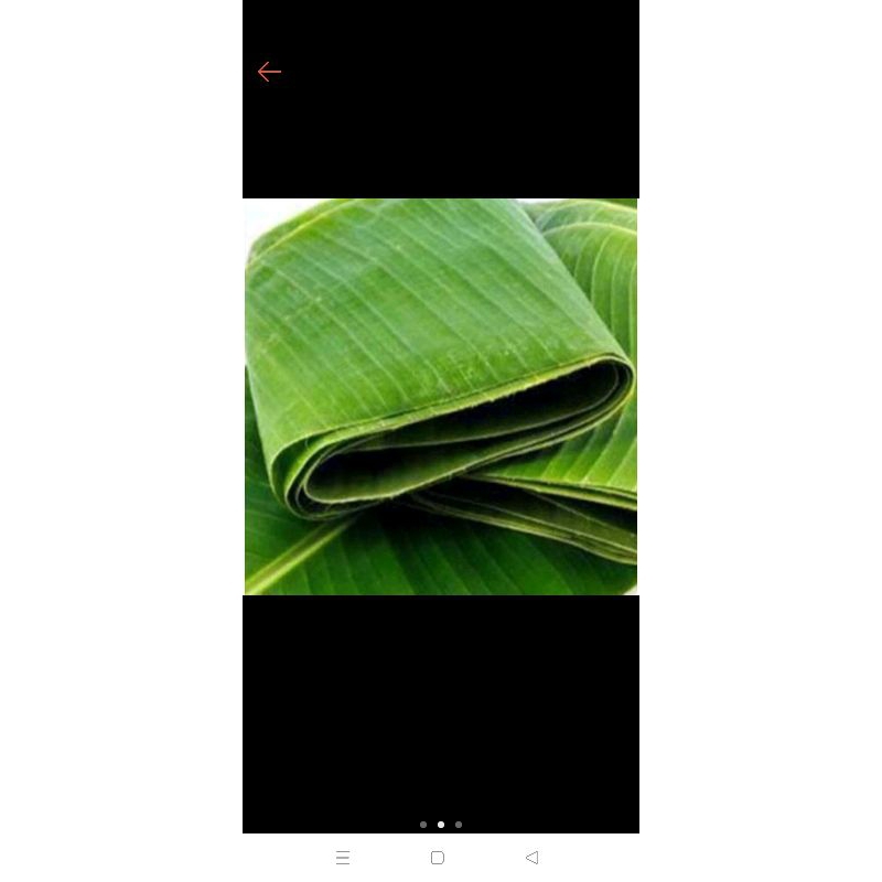 

daun pisang 1 kg