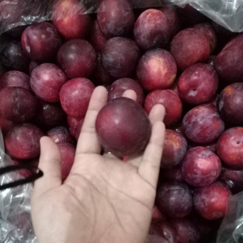 

Buah Plum