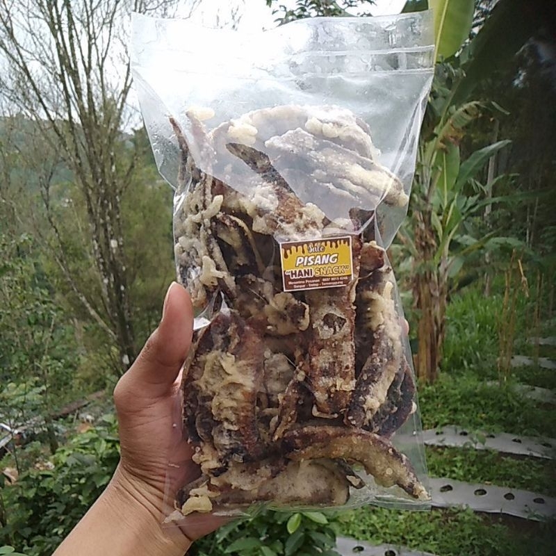 

sale pisang kering, sale khas temanggung (hany snack simpar) 250gr
