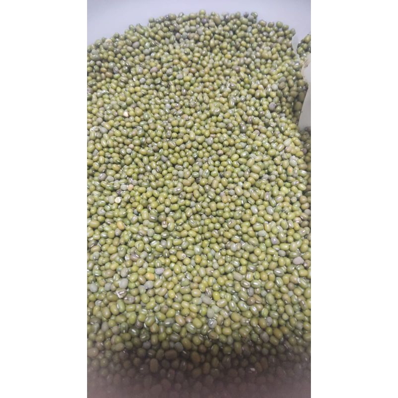 

kacang hijau 500gram