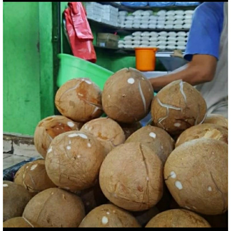 

Kelapa Utuh Segar Per Buah Dekat Bintaro BSD Jakarta