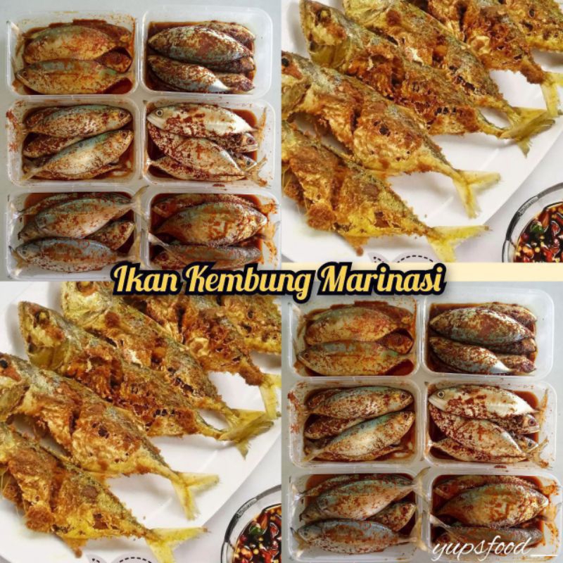 

(BACA DESKRIPSI) IKAN KEMBUNG FROZEN SUDAH MARINASI ISI ±5
