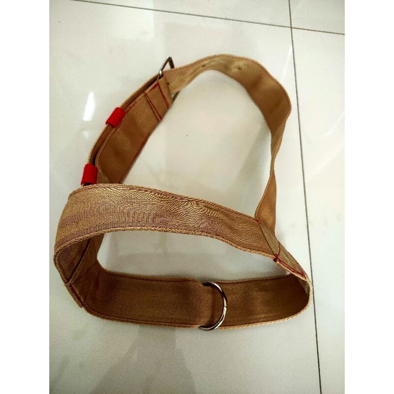 Brangus/head Halter Sapi dewasa/Indukan/penggemukan