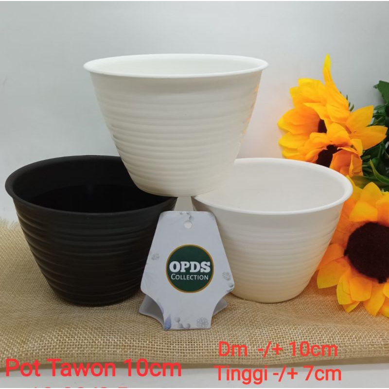 Pot Teon 10 cm. Vas Bunga Ada Lubang Pot Bunga Hidup Vas Bunga Plastik Pot Bunga Hias