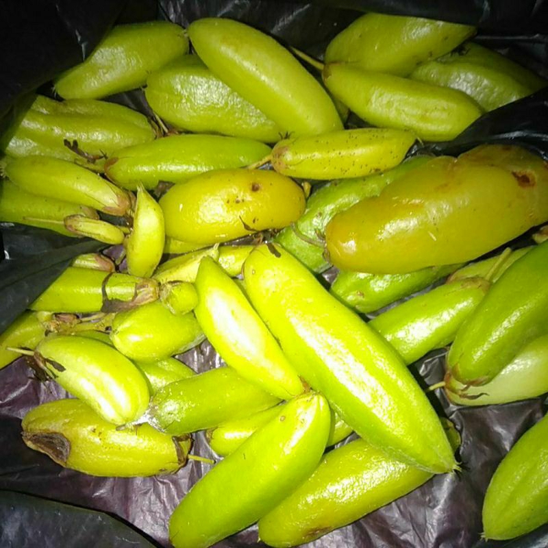 

Bahan Sayur Belimbing Wuluh segar