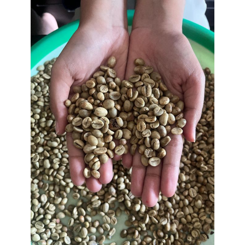 

Kopi Asalan Robusta Grade 1