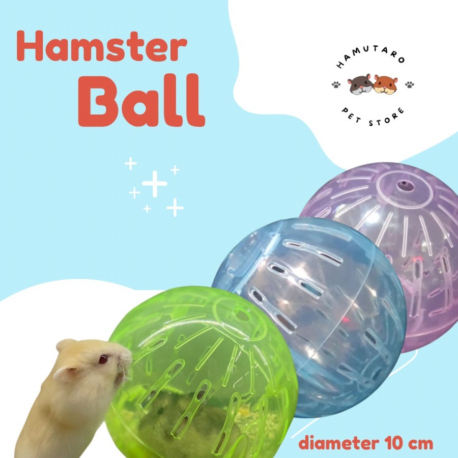 Bola Hamster Mainan Hamster ball