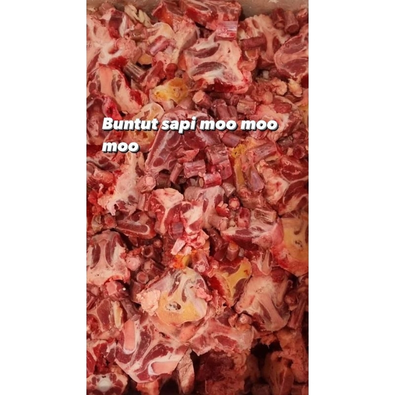 

Buntut Sapi Import Murah Seabiru