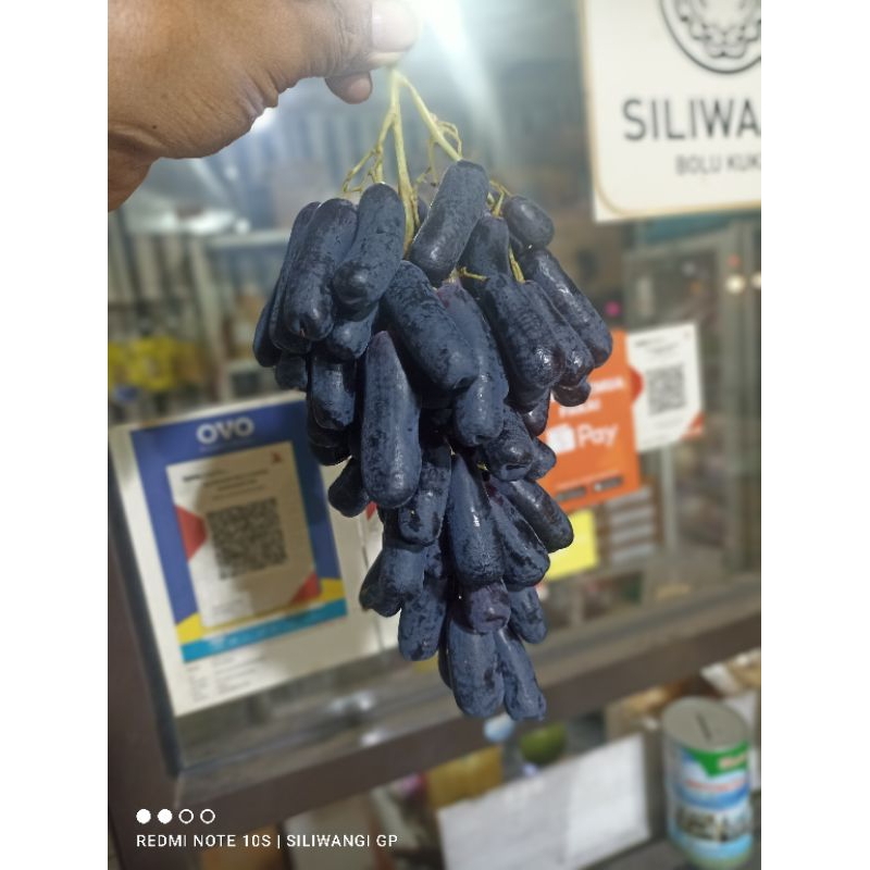 

sweet saphire atau anggur jari 500gr