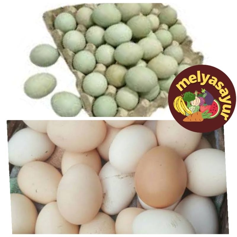 

Melyasayur - Telor bebek / Telor Ayam Kampung - 1Pcs
