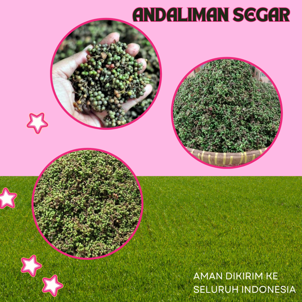 

Andaliman Bumbu Khas Medan Batak Tuba Itir Itir Se Ons