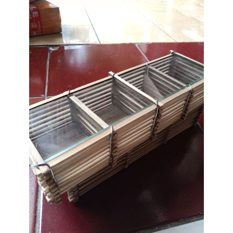 kandang jangkrik 4 slot / kandang jangkrik kaca / kandang jangkrik aduan