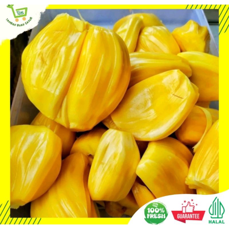 

INSTAN Nangka kupas pack