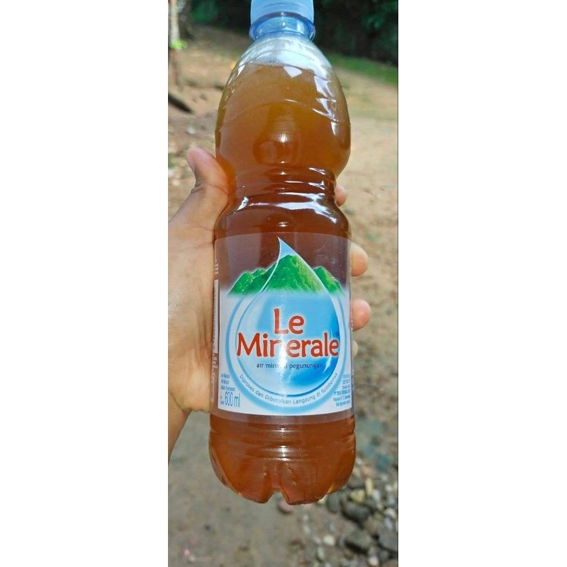 

madu hutan asli