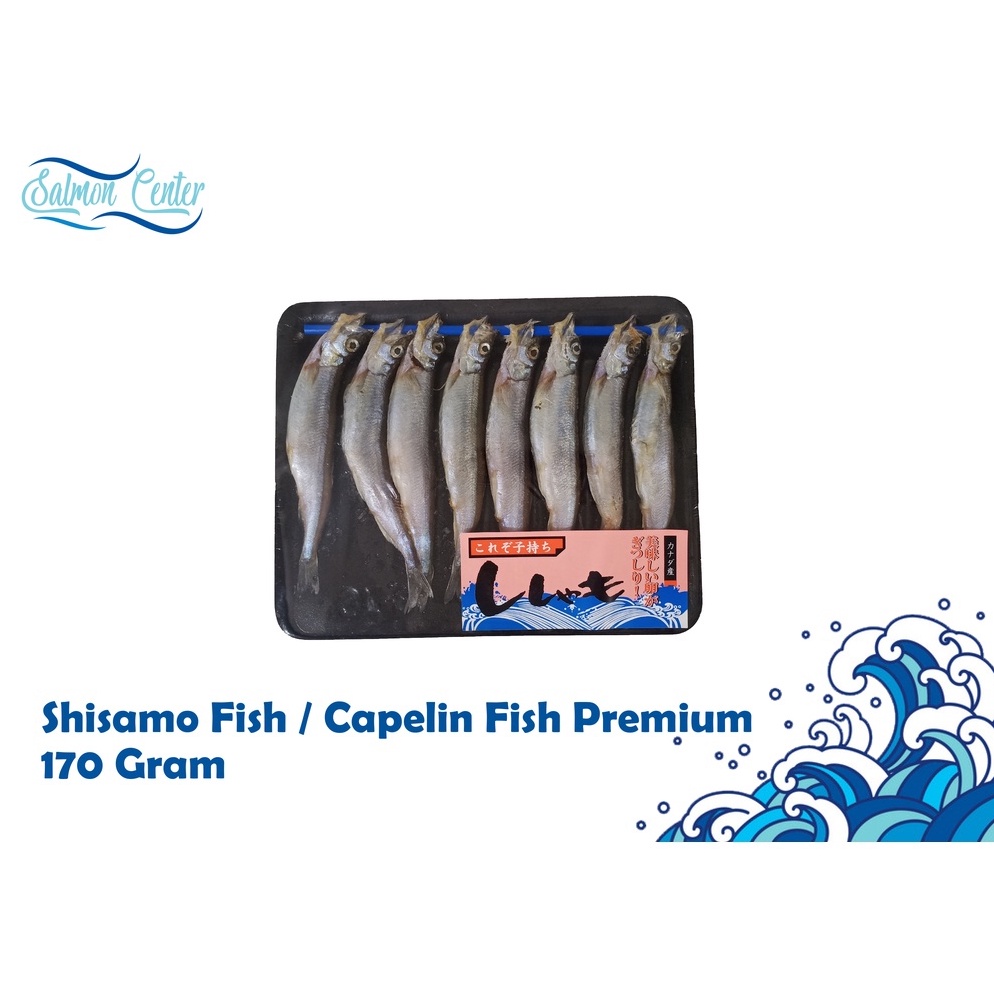 

BWR219 Star 66 SHISAMO FISH CAPELIN FISH PREMIUM