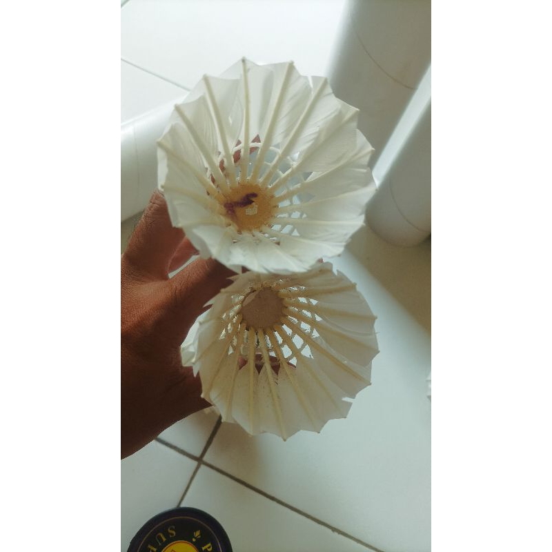 Shuttlecock putihan atau polos